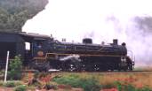 Outeniqua Choo-Tjoe