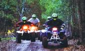 Quad biking on forest trails and tracks